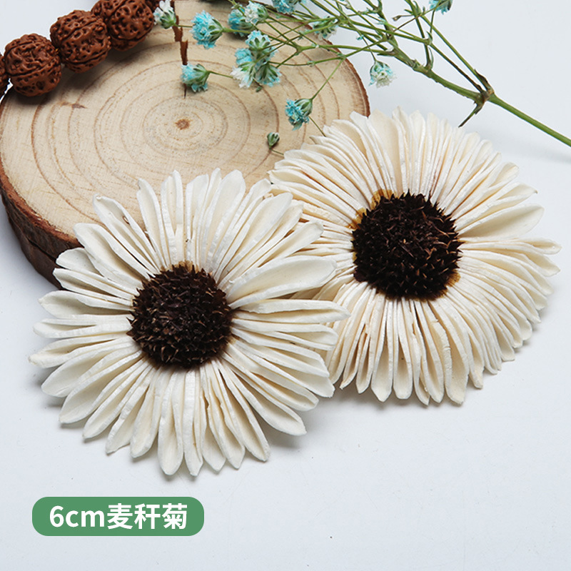 10 Buah Bunga Kering Buatan Ta - Home Decor Daisy ulasan dan harga