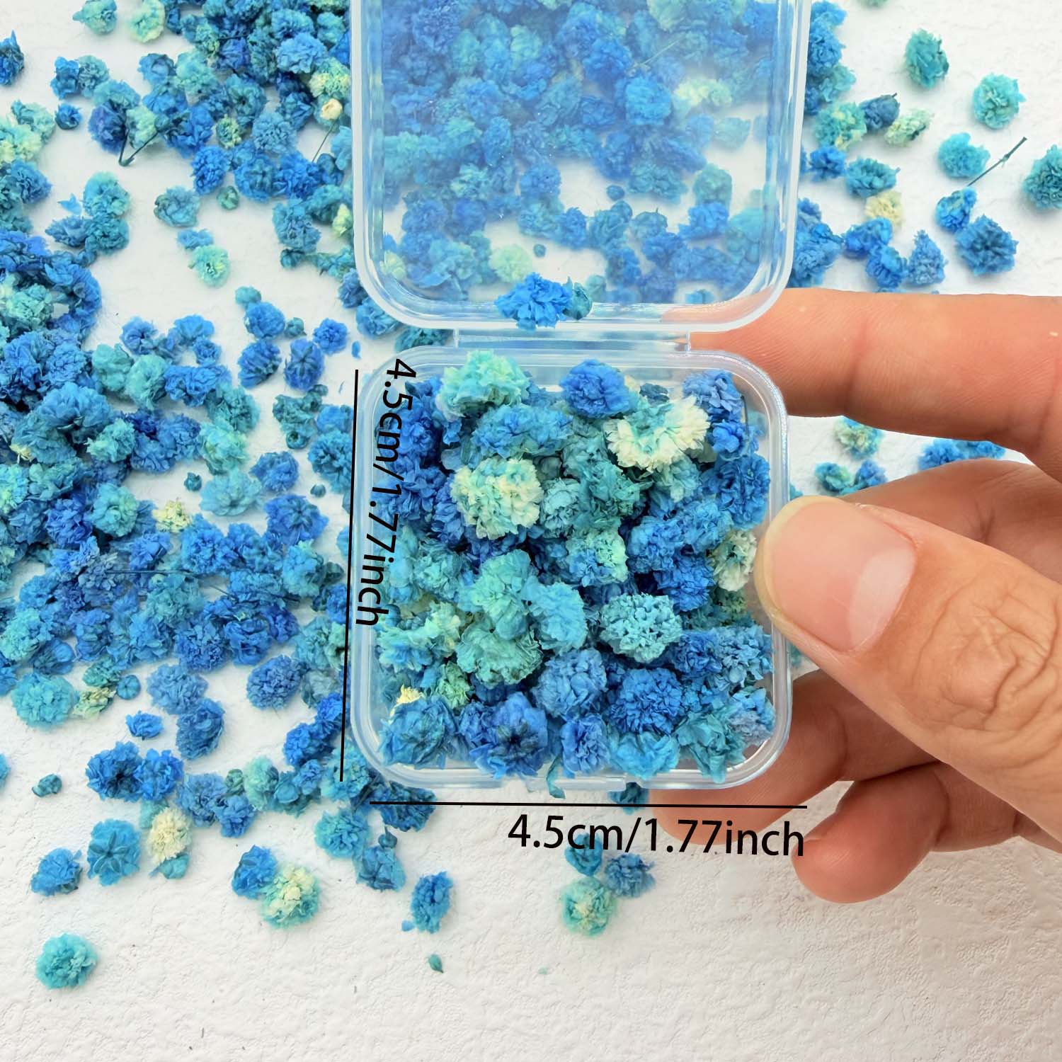 1 Kotak Kepala Bunga Warna-war - Home Decor Daisy ulasan dan harga